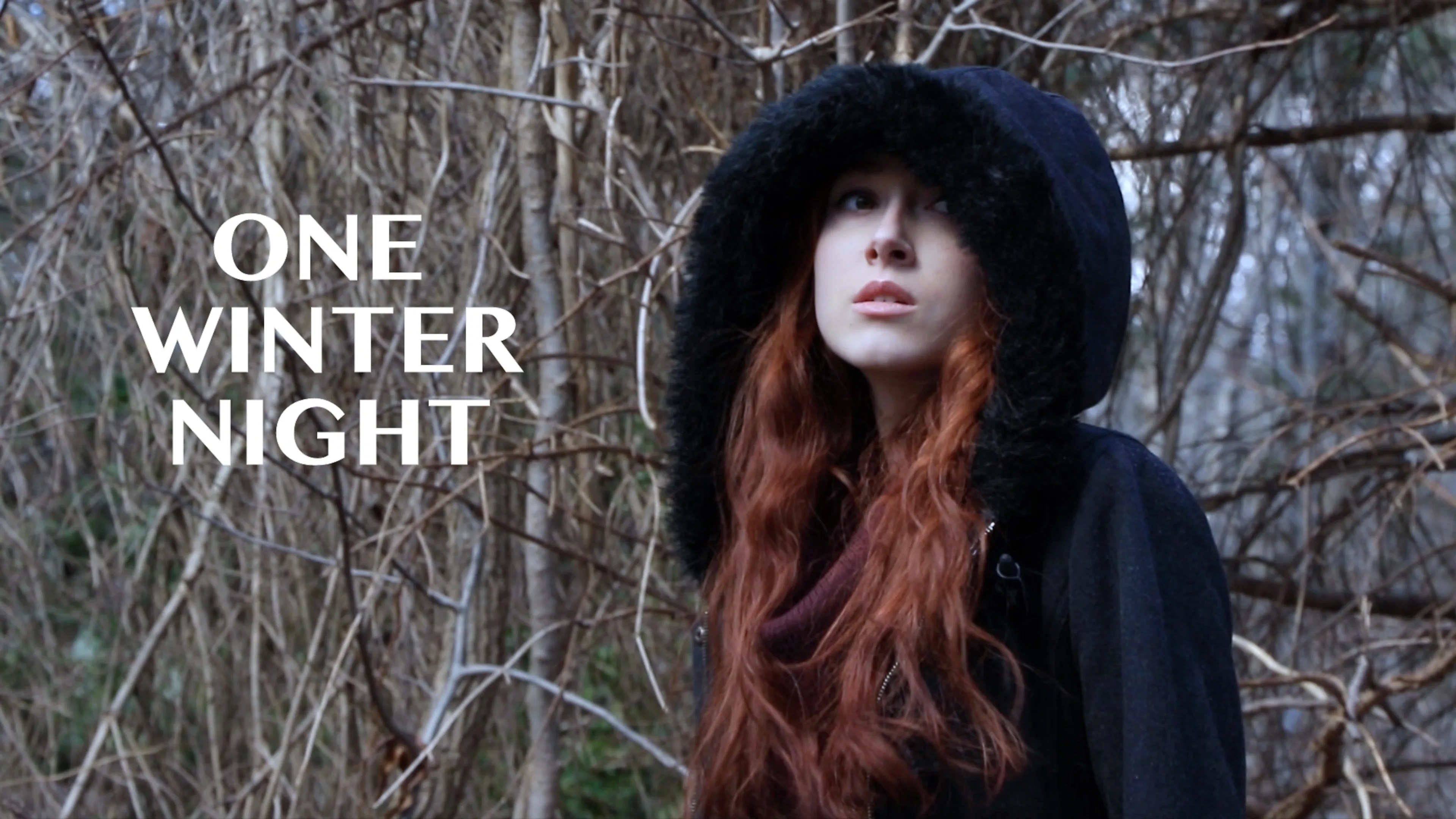 One Winter Night poster